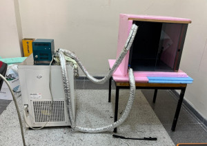 PIV1